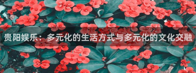 美狮贵宾会0924455：贵阳娱乐：多元化的生活方式与多元化的文化交融